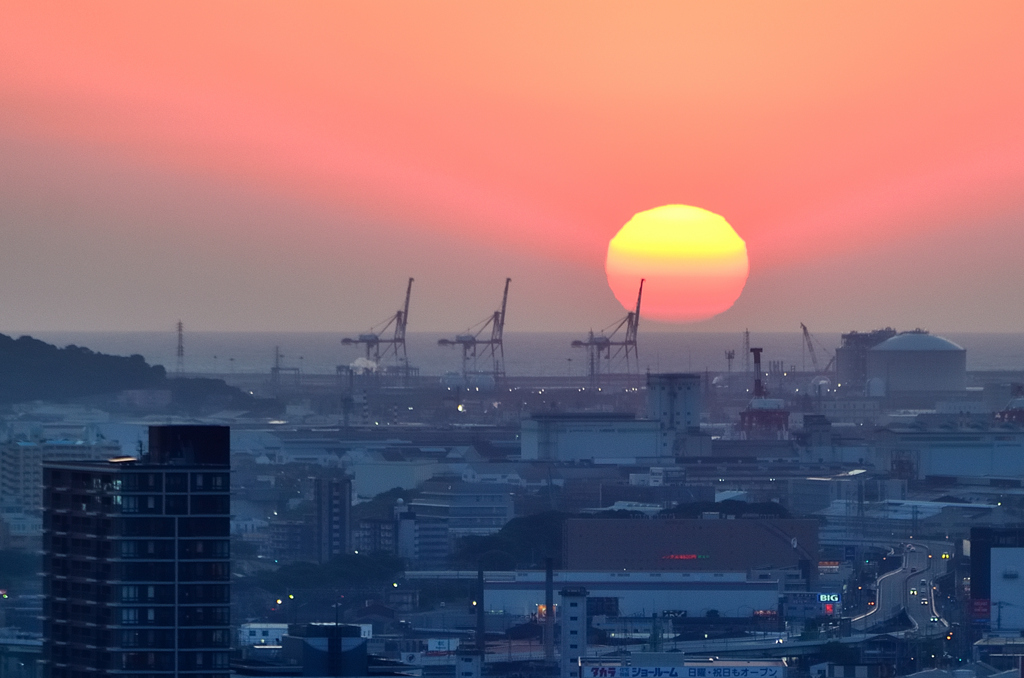 Ｋ市2022　5月-5　夕陽とキリン