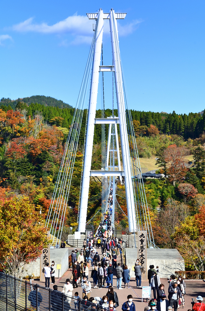 九重夢大吊橋2020　11月-1　観光客