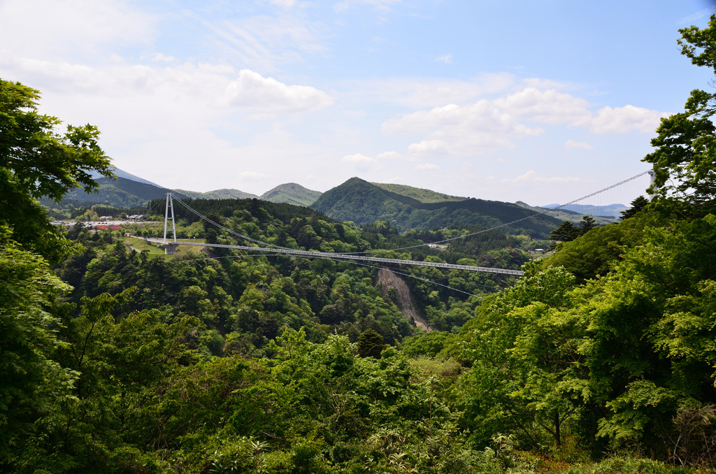 九重夢大吊橋2019-2　全景