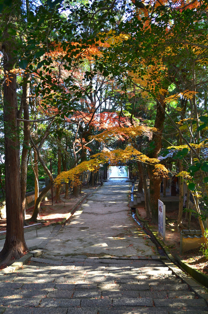 功山寺2019-1　12月　参道より総門