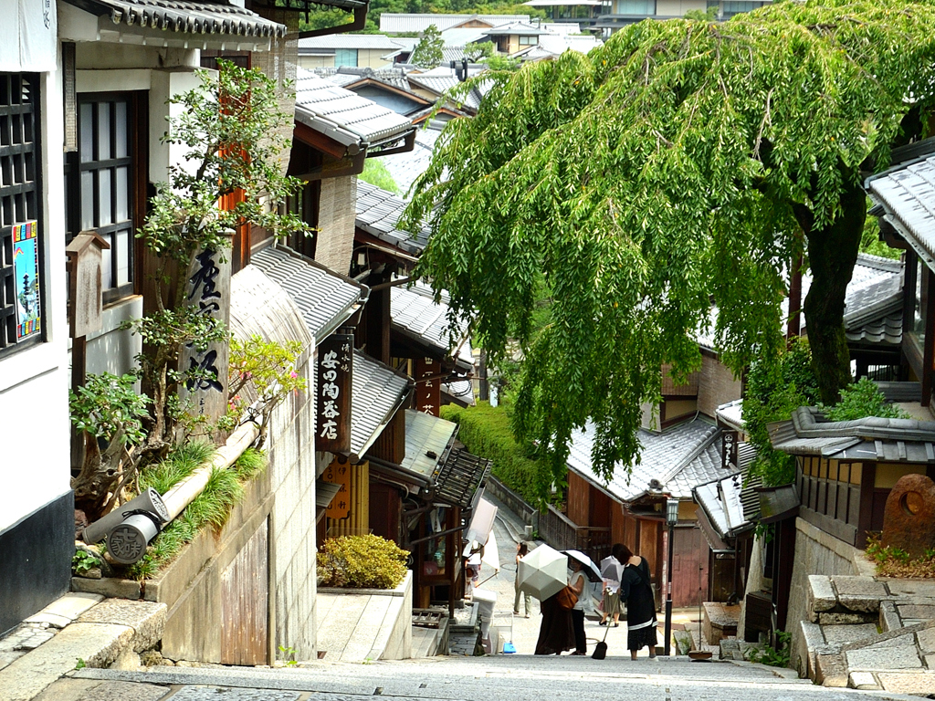 京都2022　夏-03　三年坂の枝垂れ桜