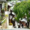 京都2022　夏-03　三年坂の枝垂れ桜
