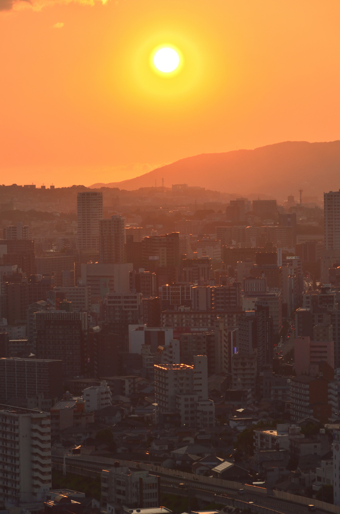 Ｋ市2020　夏　ビル群と夕陽