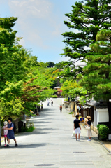京都2022　7月　ねねの道