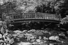 菅生の滝2020　8月-3　たきみ橋