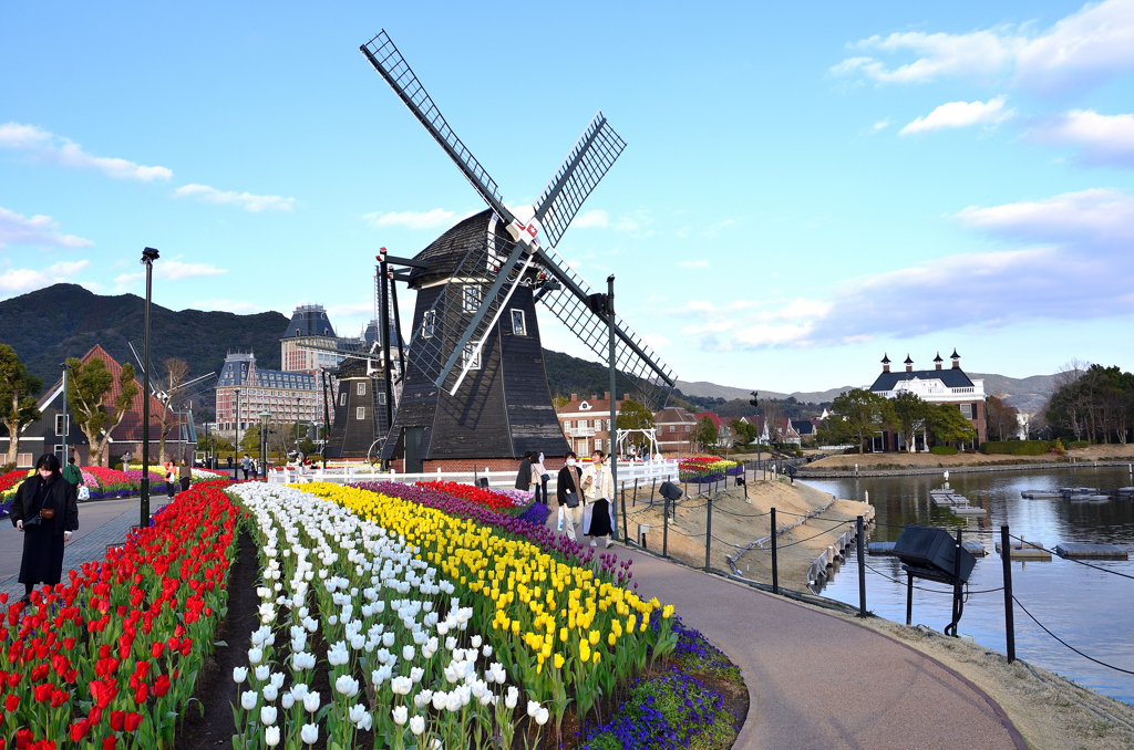 ハウステンボス2023 2月-04　花壇と風車