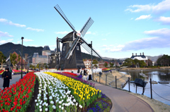 ハウステンボス2023 2月-04　花壇と風車