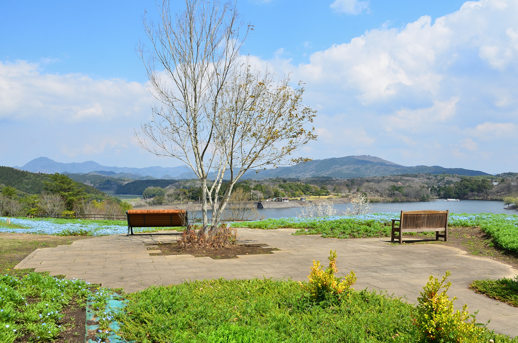 大分農業文化公園2021　3月　ベンチ