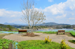 大分農業文化公園2021　3月　ベンチ
