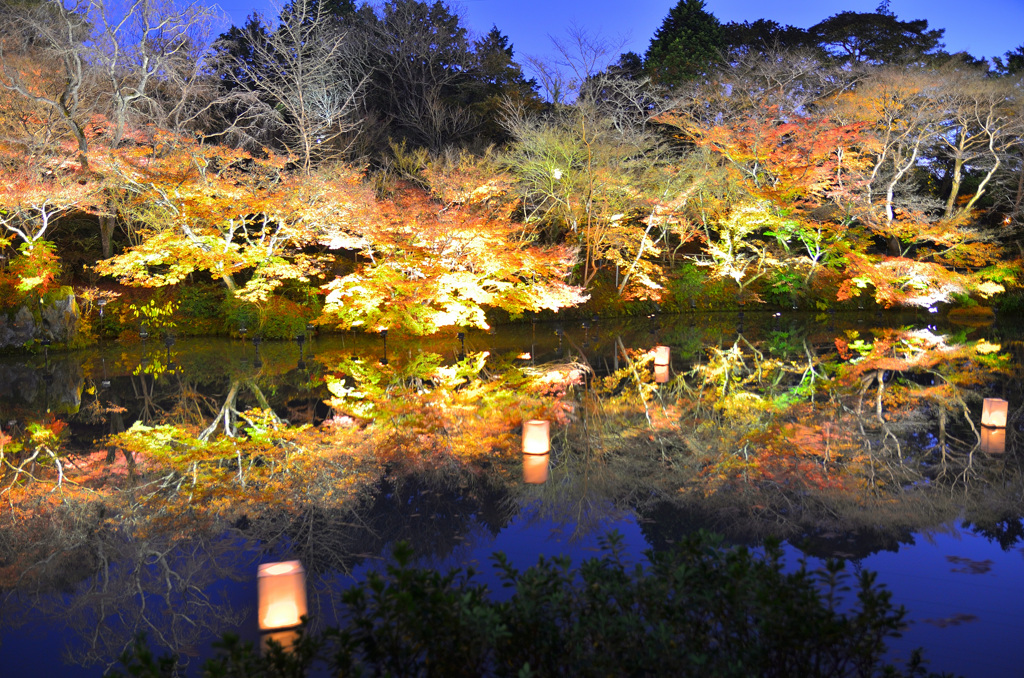 御船山楽園2019-4　秋　大池ﾘﾌﾚｸｼｮﾝ①