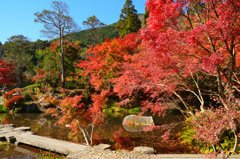 環境芸術の森2020　秋-2　池と紅葉