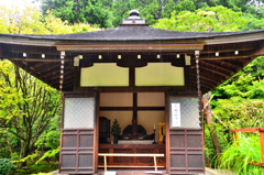 龍安寺2022　7月-3　雨の西庭　細川廟