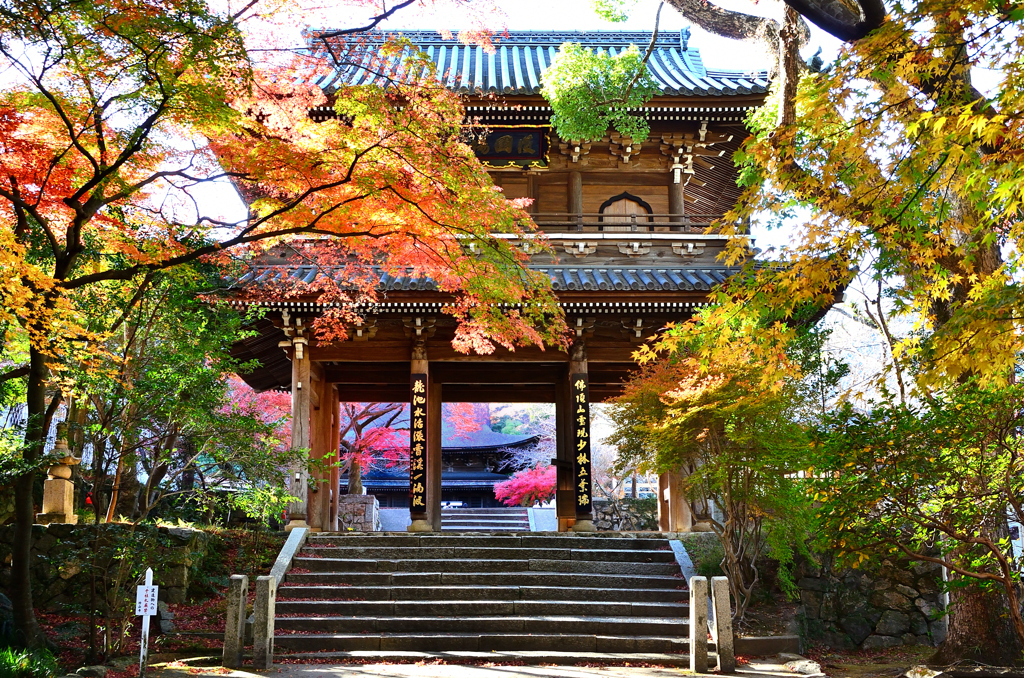 功山寺2021　秋-2　山門　表