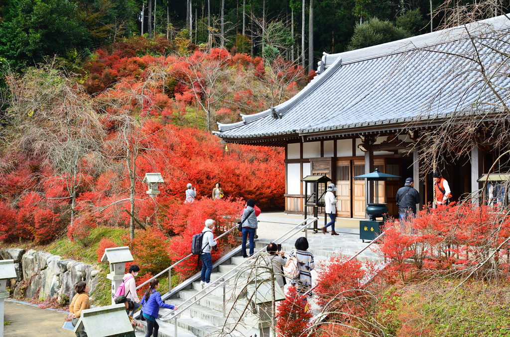 呑山観音寺2019-3　大百観音堂