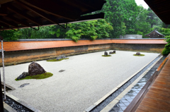 龍安寺2022　7月-2　雨の石庭　枯(濡)山水