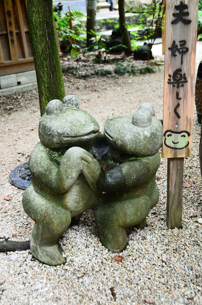 如意輪寺2020　7月-2　蛙　夫婦かえる