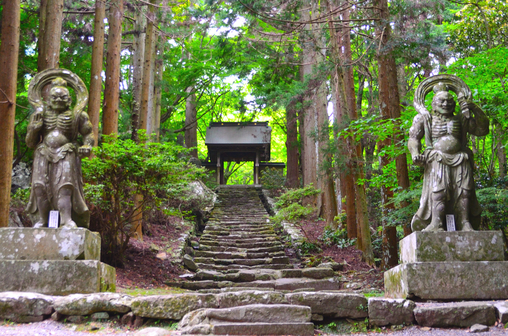 両子寺2022　5月-1　仁王像