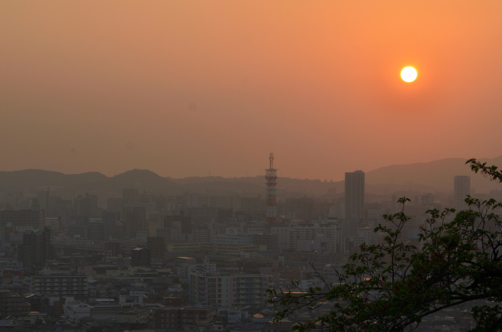 K市2019　4月-1　夕陽と電波塔