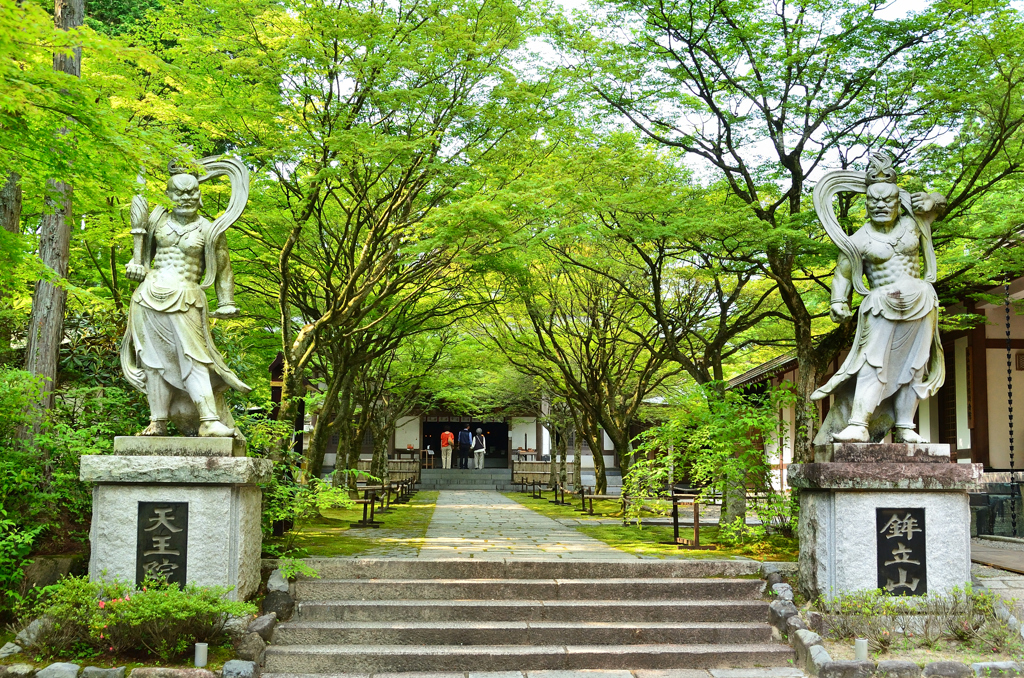 呑山観音寺2021　6月-5　天王院　参道①