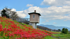 犬鳴川河川公園2023-4　河川水位監視塔