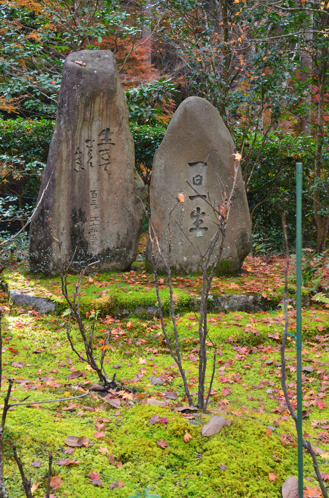 三千院2018-6　不動堂　石碑