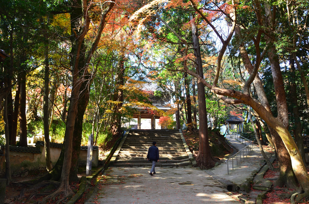 功山寺2019-1　12月　山門＆楼門