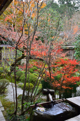 宝泉院2018-1　手水鉢