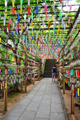 如意輪寺2020　7月-5　風鈴　山門より参道