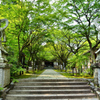 呑山観音寺2021　6月-2　天王院　参道