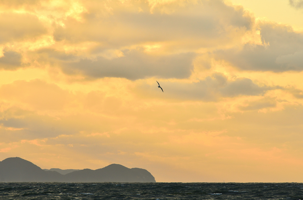 洞山2021　2月　地島の夕焼け