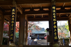 功山寺2022　11月-2　仏殿と山門