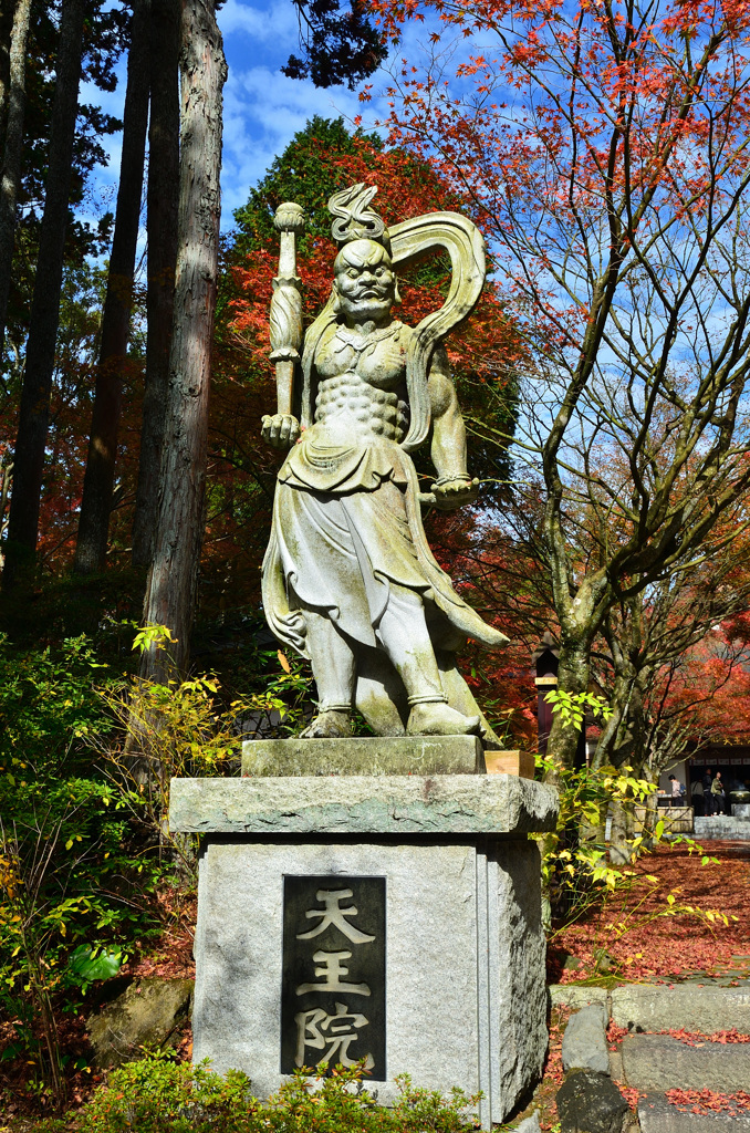 呑山観音寺2019-5　天王院　仁王像吽形