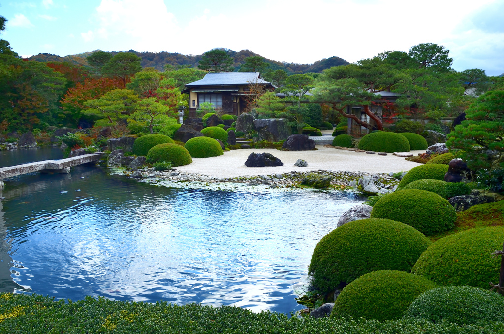 足立美術館2020　11月-3　池庭①
