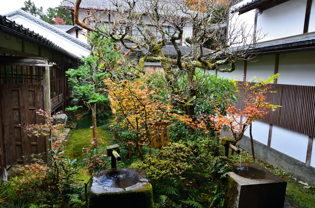 三千院2018-2　手水鉢