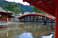 厳島神社2020　10月-1　夕暮　太鼓橋