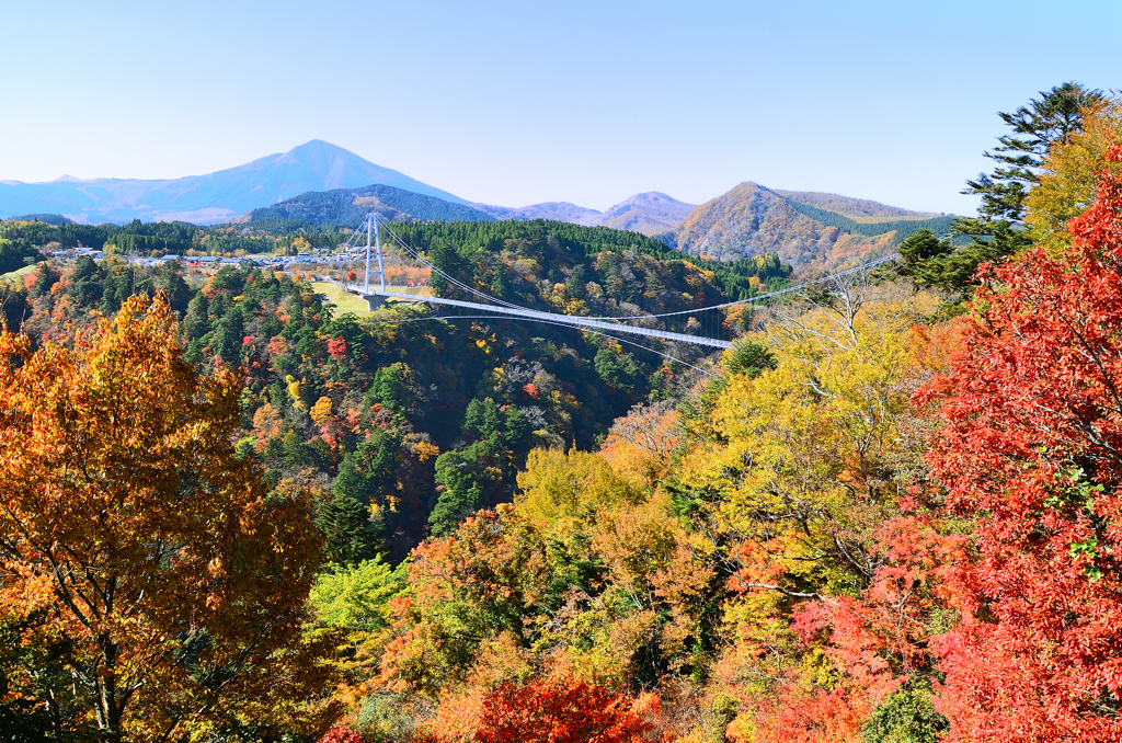 九重夢大吊橋2020　秋　紅葉②　