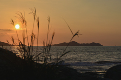 洞山2025　10月-01　地島と夕陽