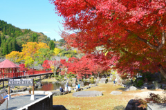 渓石園2022　11月-1　日本庭園