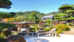 毛利氏庭園2024　11月-01　日本庭園