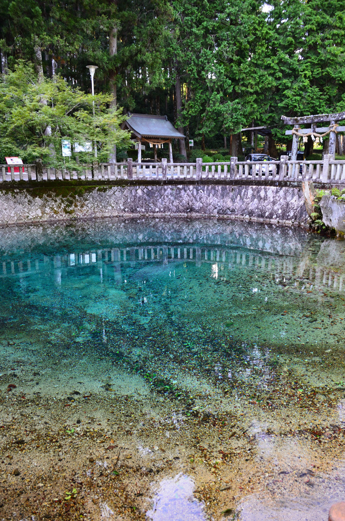 別府弁天池2019　鳥居＆手水舎