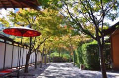 小倉城2022　11月-04　下屋敷玄関前通路