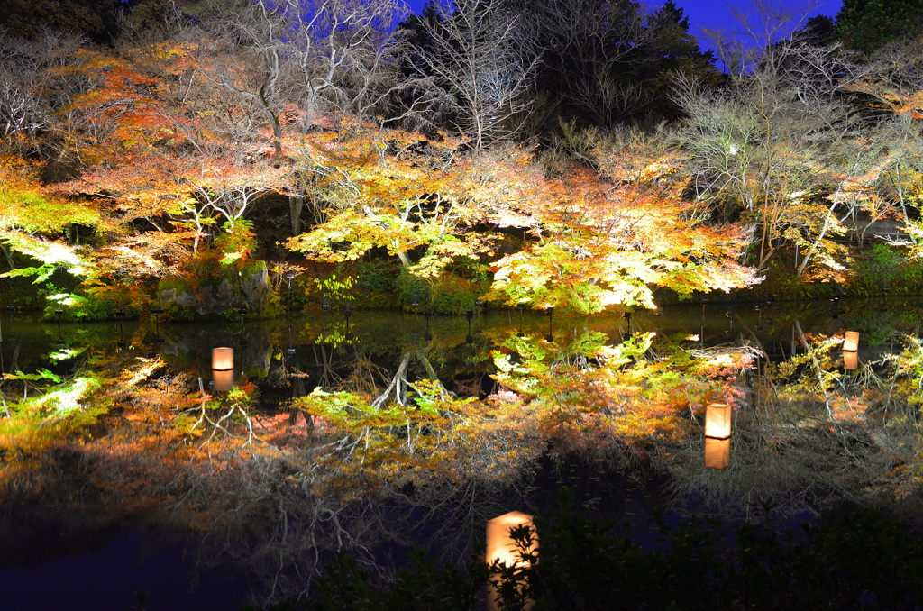 御船山楽園2019-4　秋　大池ﾘﾌﾚｸｼｮﾝ③