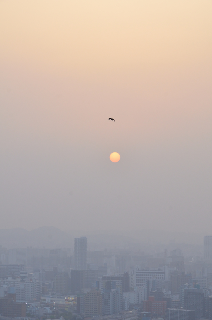 Ｋ市2021　3月　黄砂と鳥