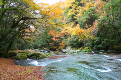 菊池渓谷2021　11月　渓流