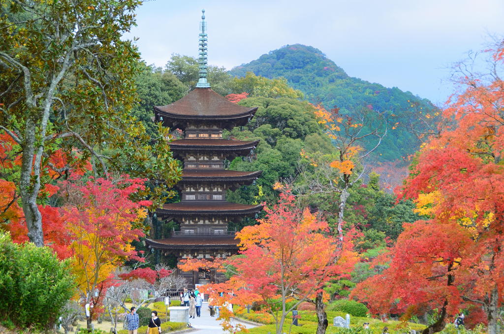 瑠璃光寺2022　11月-2　五重塔と紅葉