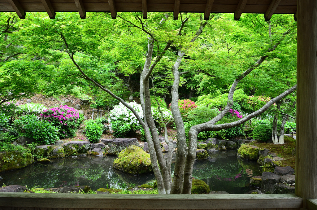 祐徳稲荷神社2019　4月　日本庭園②