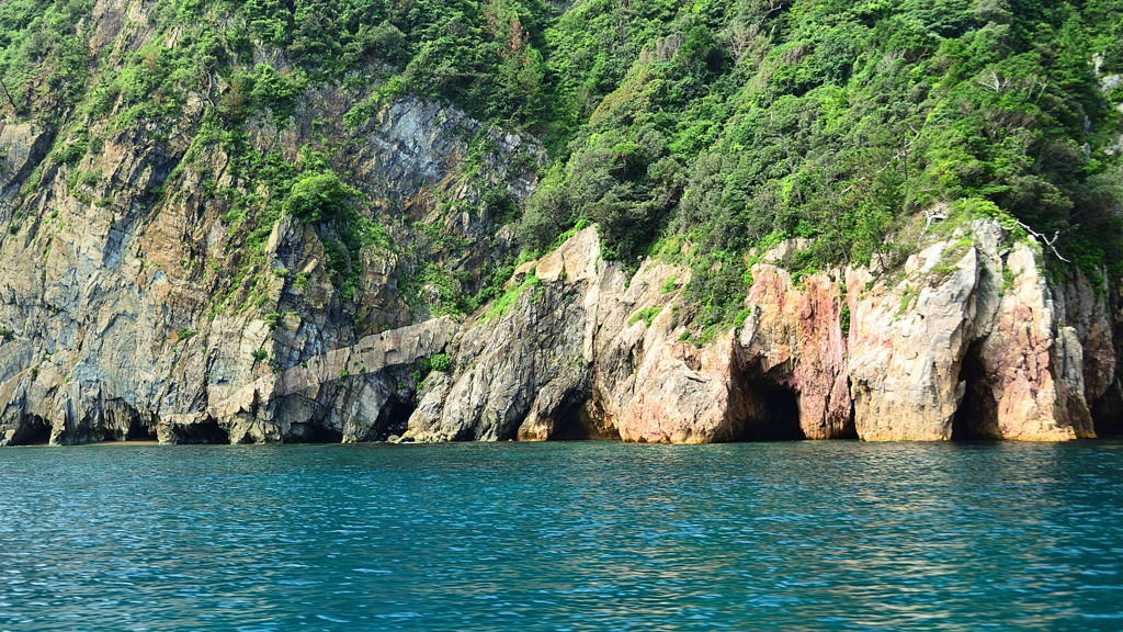 青海島2020　7月-5　白旗岩