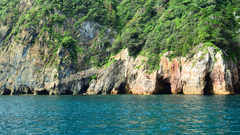 青海島2020　7月-5　白旗岩