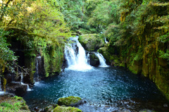 菊池渓谷2019-3　天狗滝