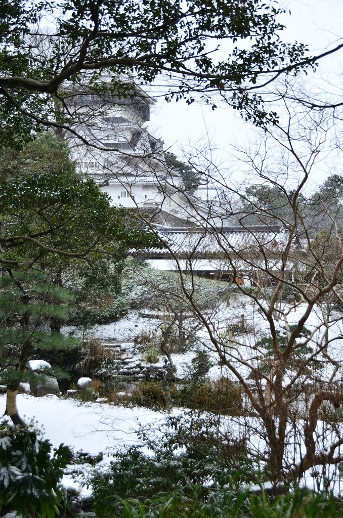 小倉城2021　1月-1　下屋敷庭園